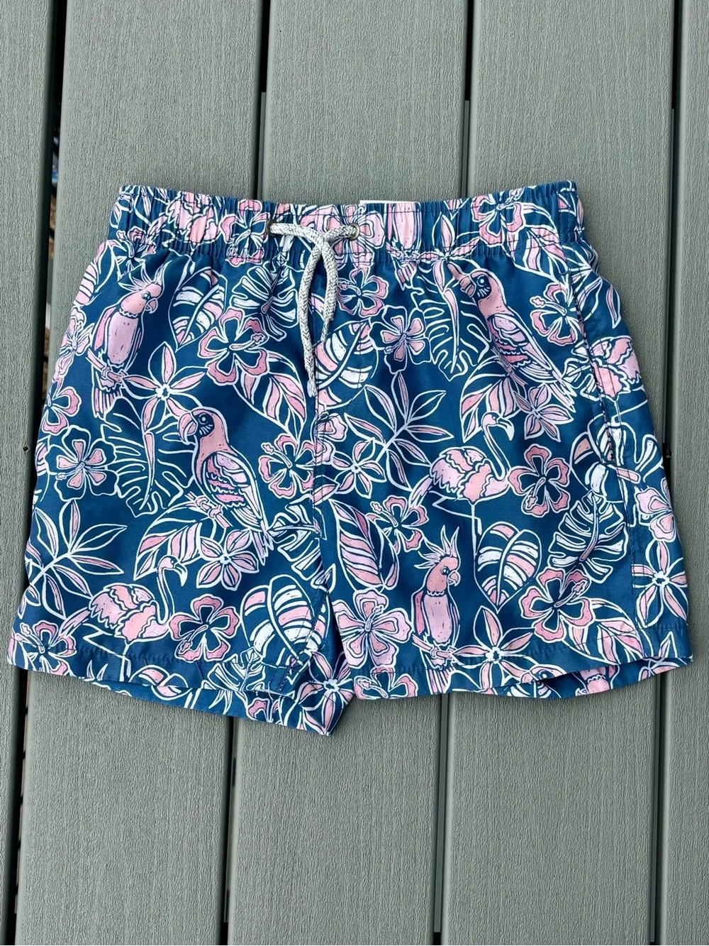 Surf Style Boys Size 10 Swim Trunks Set Tropical & Ocean Life Cut Out Liner